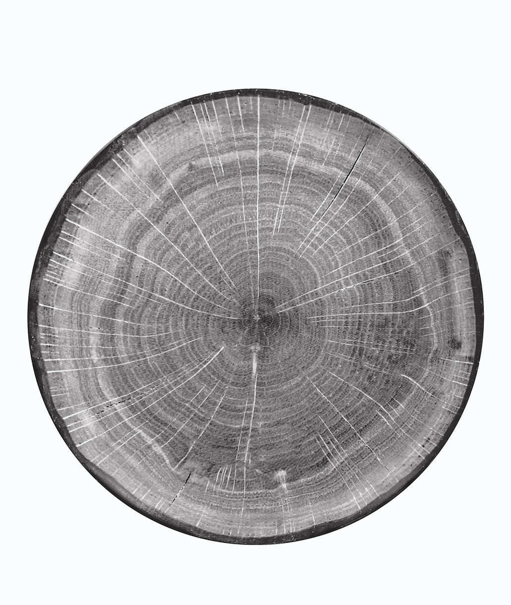 RAK Woodart Πιάτο Ρηχό 29cm Γκρι