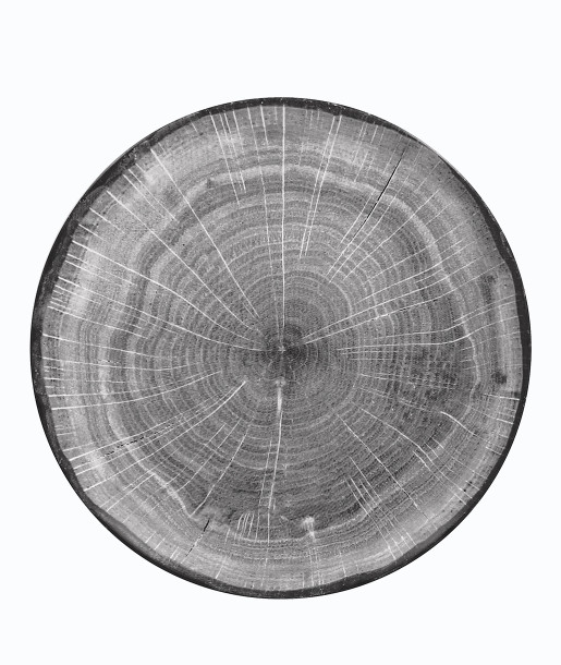RAK Woodart Πιάτο Ρηχό 29cm Γκρι