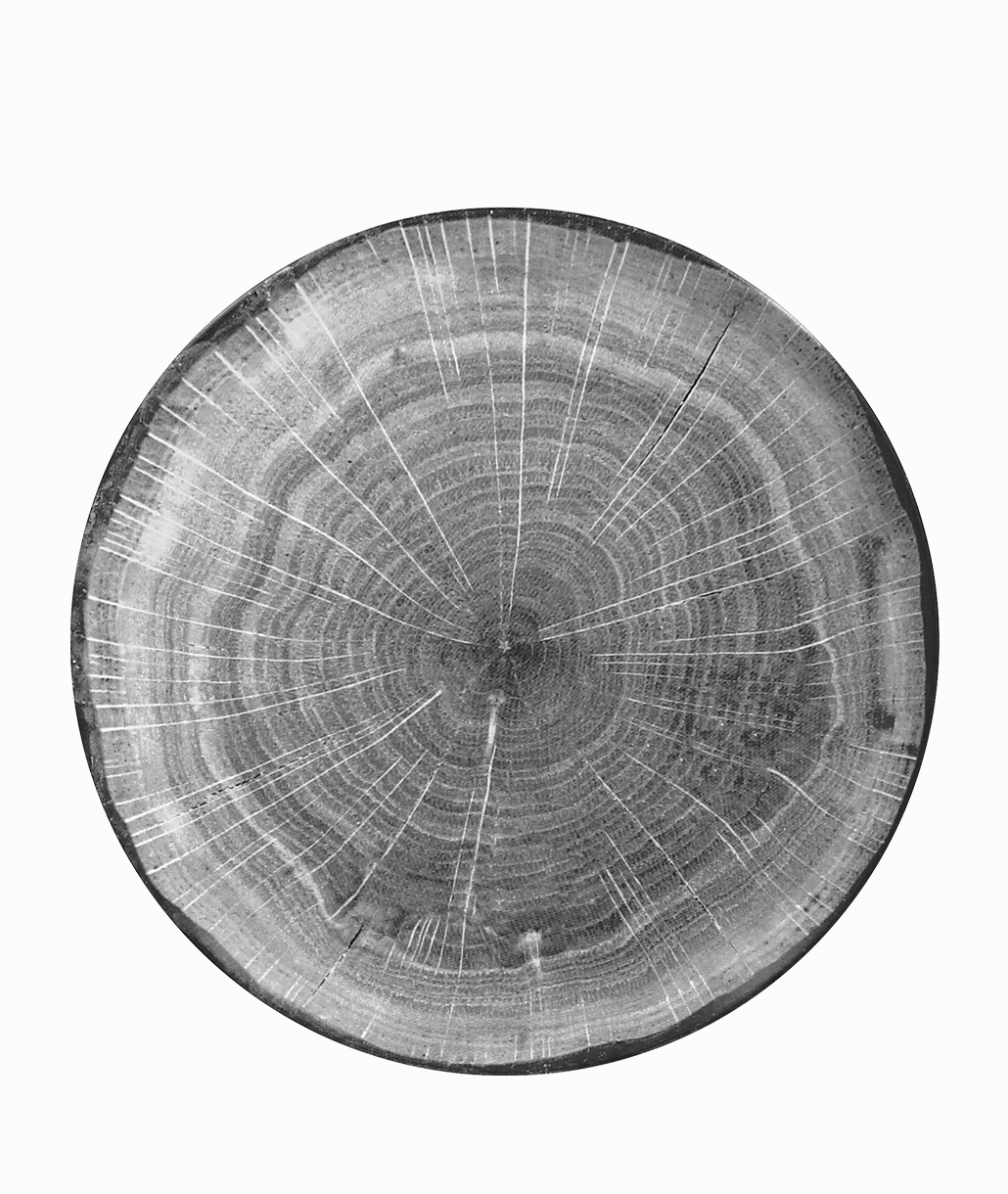 RAK Woodart Πιάτο Ρηχό 27cm Γκρι