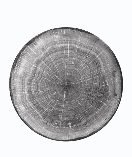 RAK Woodart Πιάτο Ρηχό 27cm Γκρι