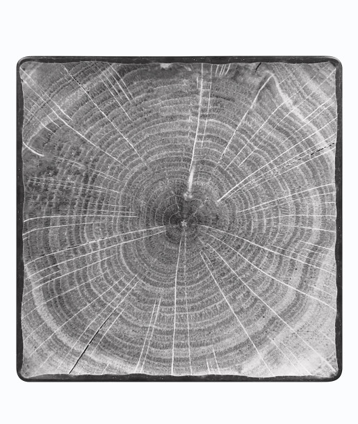 RAK Woodart Πιατέλα Τετράγωνη 30cm Γραφίτης